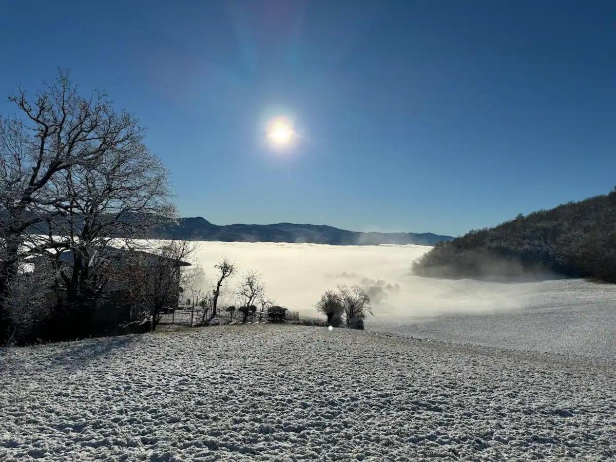 Casa Del Giglio A Cadelmonte * Valle (Piacenza, Emilia-Romagna)
